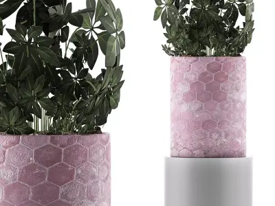 Plants Collection 110 3D model