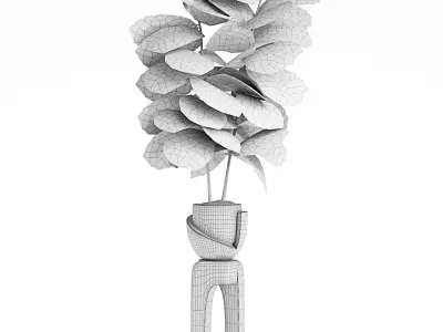 Indoor Plants 14-Fig 3D model