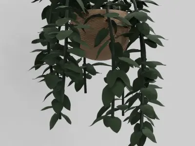 Pothos plants 3D model