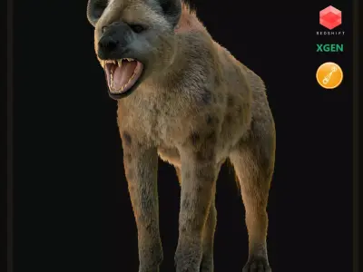 Realistic Spotted Hyena Hyena Rig with Animation Low-poly 3D model