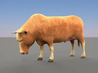 Cow Male and female plus animation Low-poly 3D model