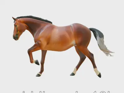 Saddlebred Horse 3D Model with Dynamic Animation Low-poly 3D model