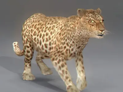 Pack - Wild Felines Animated 3D model