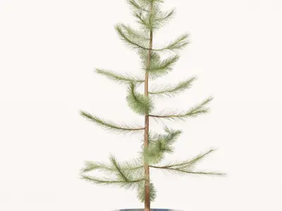 Artificial Christmas Tree 3D model