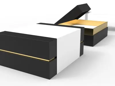 Luxury Box 1 3D model