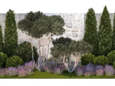 Garden with thuja trees and pine topiary lavender bushes 3D model