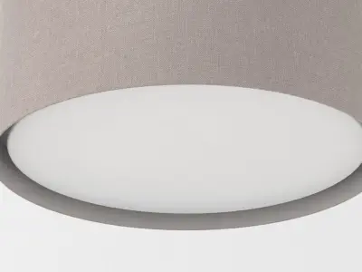 Ceiling Lamp 1 3D model