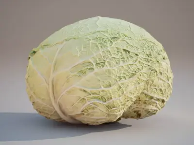 Low Poly 3D Cabbage model Game ready  5K triangles 4K PBR  Low-poly 3D model