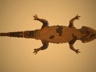 Lizard Low-poly 3D model