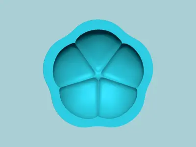 Five Segment Bud Flower Mold - Artificial EVA Molding 3D print model