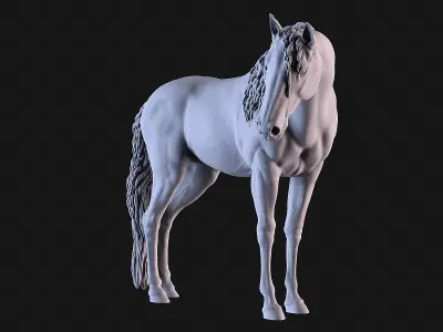Mare Horse 3D print model