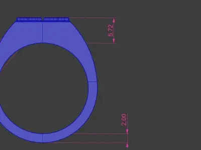 Flush Pave Diamond Ring Gold Silver Luxury Jewelry 3D print model