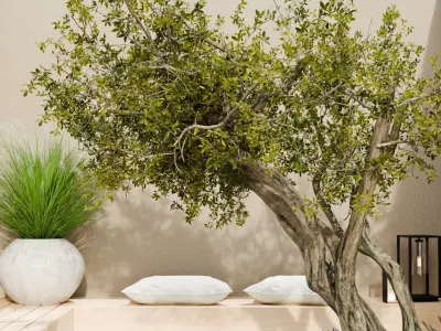 Outdoor patio exterior design Free 3D model