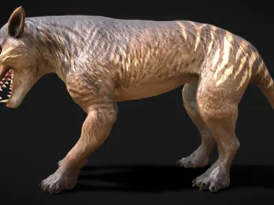 Hyaenodon gigas  Apex Predator of the Eocene Low-poly 3D model