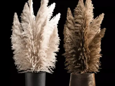 Bouquet Of Dry Reeds In A Black Metal Pot 272 3D model