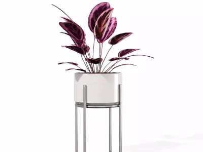 Indoor plant collection 64 3D model
