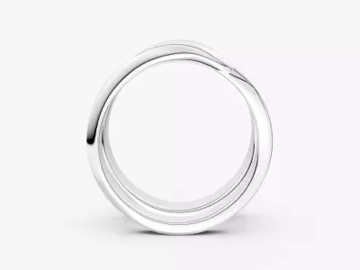 COUPLE RING-ZDR0193 3D print model