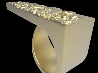 adjustable ring with engraving 3  3D print model