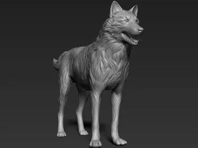 Wolf Sculpt 3D model