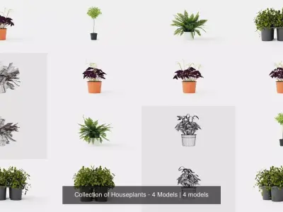 Collection of Houseplants - 4 Models