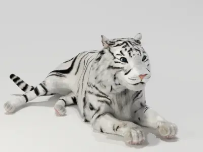 White tiger 3D model