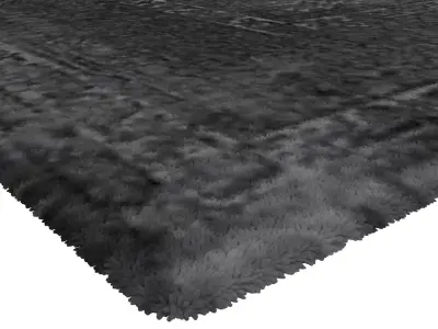 Rug Set 1355 3D model