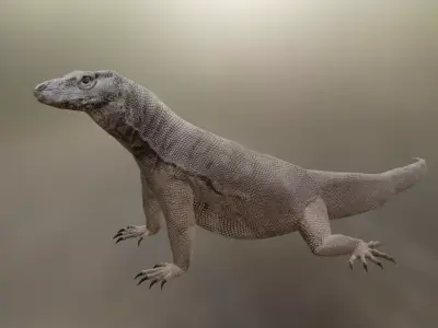 Komodo Idle Animation Low-poly 3D model