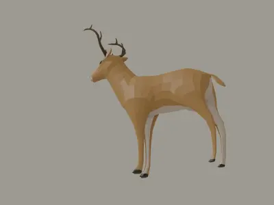 Deer model Low-poly 3D model