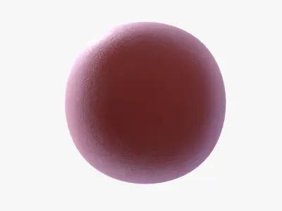 Gym kettlebell 3D model