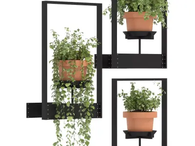 Boho Hanging Plants 04 3D model