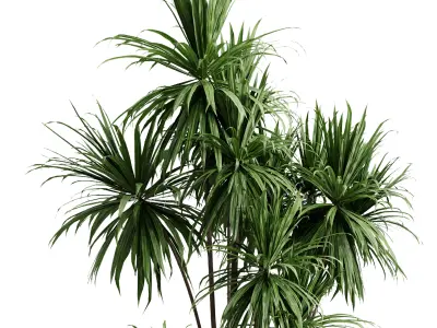 palm branch in a concrete pot - set indoor plant 619  3D model