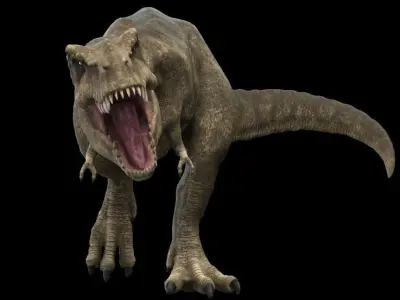Tyrannosaurus rex 3D model