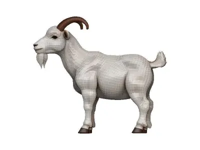Goat-Goat Low-poly 3D model