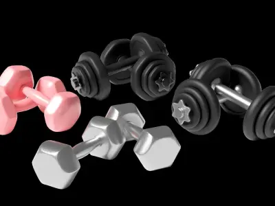 Dumbbell two silver dumbbells 3D model