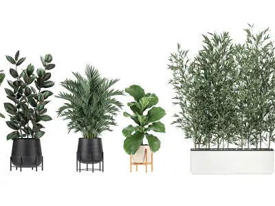 Collection of potted plants for the interior of 20 pieces set 2 3D model