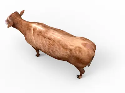 Brown Cow Cattle  Low-poly 3D model