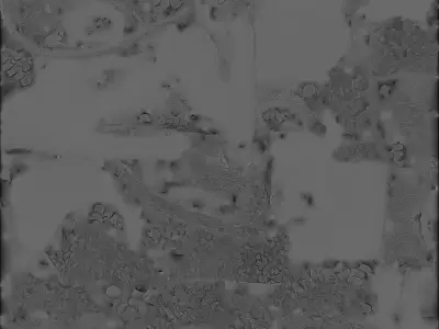 Serpent Dragon Mask 3D Model Scaled Reptilian War Gear Low-poly 3D model