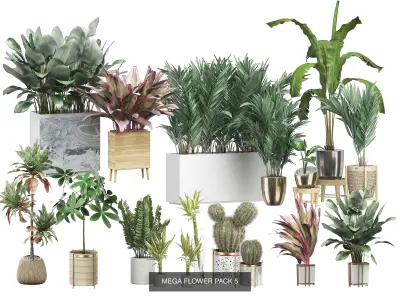 Ultra Flower Interior Decoration Pack 1 3D Model Collection