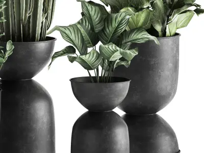 Houseplants in a pot for the interior 877 3D model