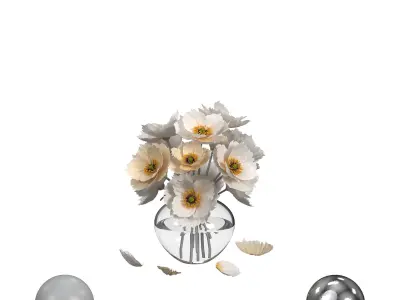 Flower White Poppies 3D model