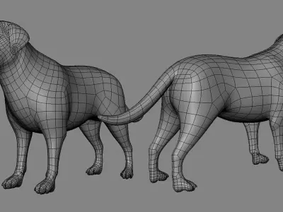 Labrador Dog BaseMesh  Low-poly 3D model
