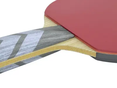 Ping Pong Paddle 3D model