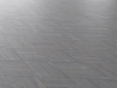 Parquet Oak Portland Wildwood set 5 3D model