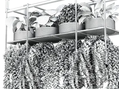 collection Indoor plants hanging pot-metal bax vase 04 Low-poly 3D model