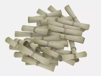 Paper Scrolls Pile 3D model