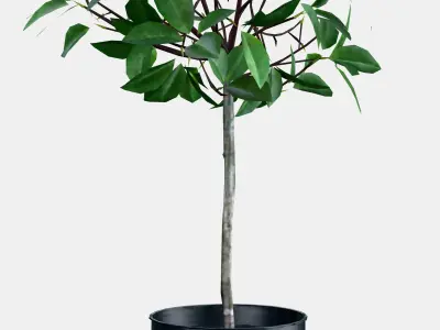 FEJKA Artificial potted plant 4 Low-poly 3D model