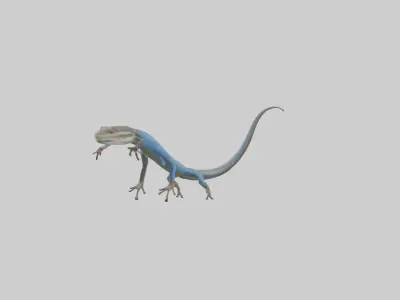 Skink darting model 3D model