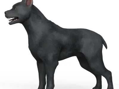 Black Dog Low-poly 3D model