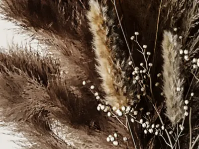 Dry Plants Bouquet Pampas Indoor concrete vase 3D model