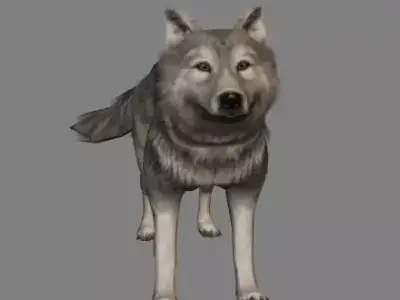 Wolf Animations-Lowpoly-Game Ready Low-poly 3D model